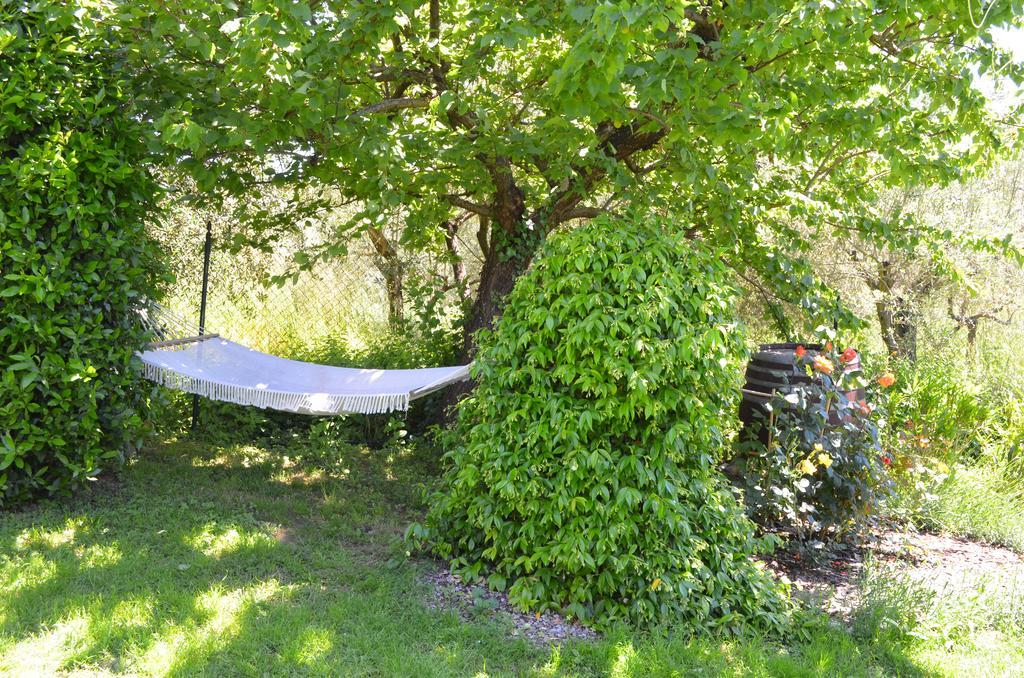 Casa Di Giso Apartman Certaldo Kültér fotó
